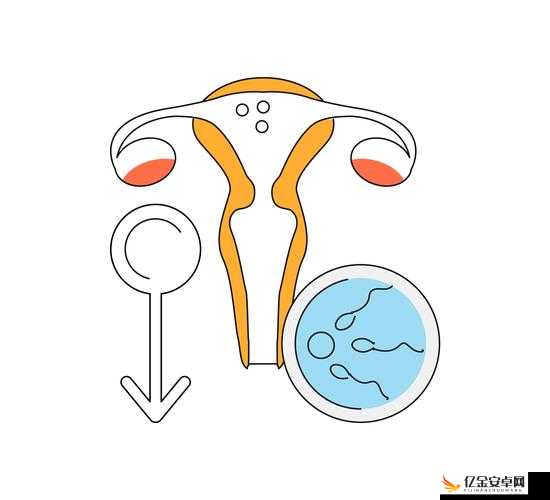 国产妇女体内精液汇编：探寻神秘的生命奥秘